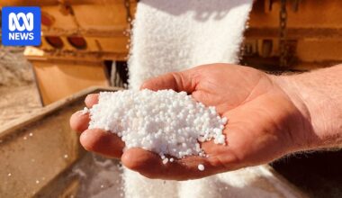 Iran war's exposure of Australia's fertiliser deficit could inspire manufacturing comeback