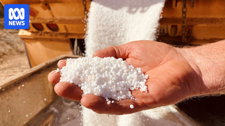 Iran war's exposure of Australia's fertiliser deficit could inspire manufacturing comeback