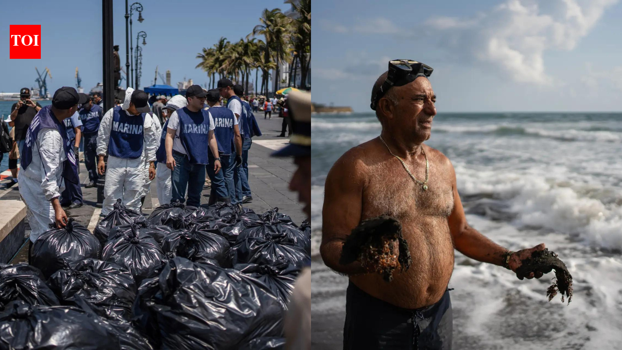 Pipeline leak near Pemex platform caused Gulf of Mexico oil spill that killed wildlife, polluted reserves: officials