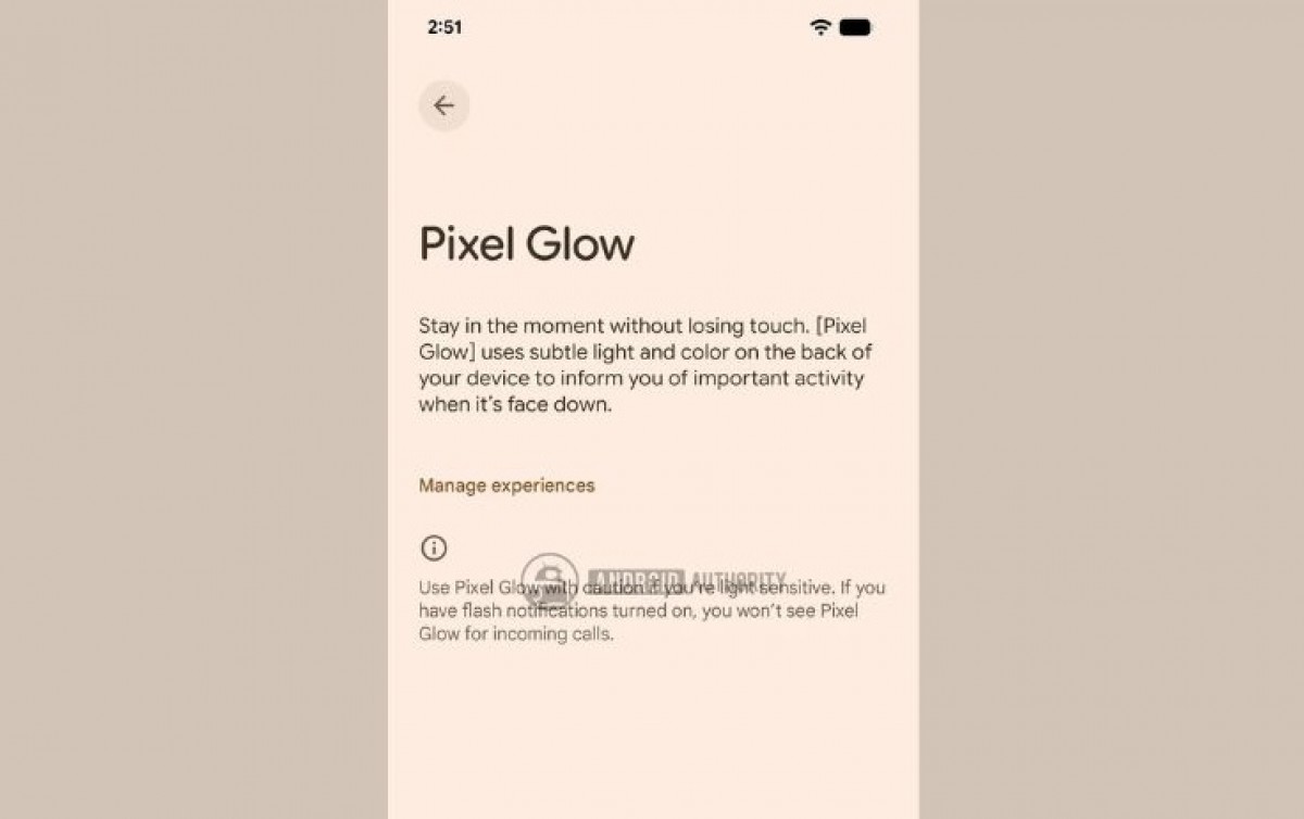 Future Pixel phones could feature LED lighting on the rear panel