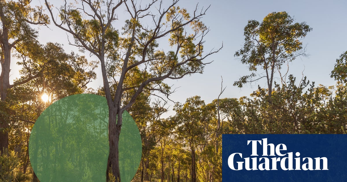 ‘The environmental movement needs many hands’: saving Australia’s biodiversity is getting personal | Conservation