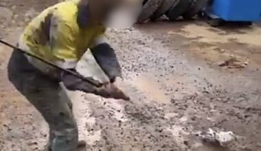 Sentences halved by Court of Appeal for WA miners seen beating pigeon to death