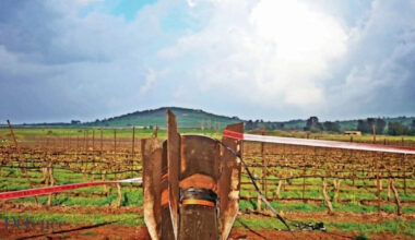 Endurance, the new superpower of the battlefield