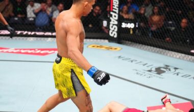 Rookie Report Card: UFC Winnipeg debut grades