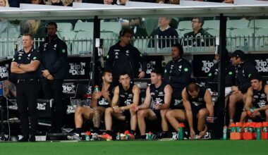 Collingwood player Brayden Maynard heard chatter about Elijah Hollands but didn’t see anything himself
