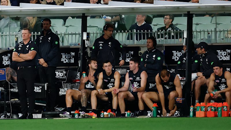 Collingwood player Brayden Maynard heard chatter about Elijah Hollands but didn’t see anything himself