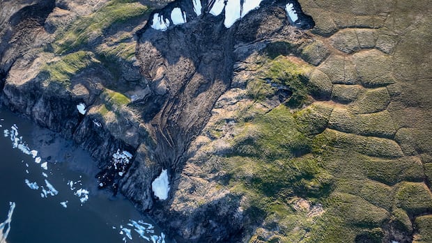 This northern Yukon island shows how thawing permafrost is transforming the Arctic