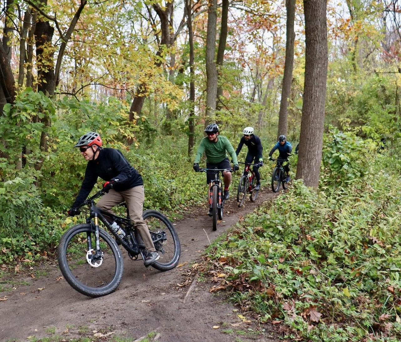 Cyclists on mountain bikes riding in a wooded area.