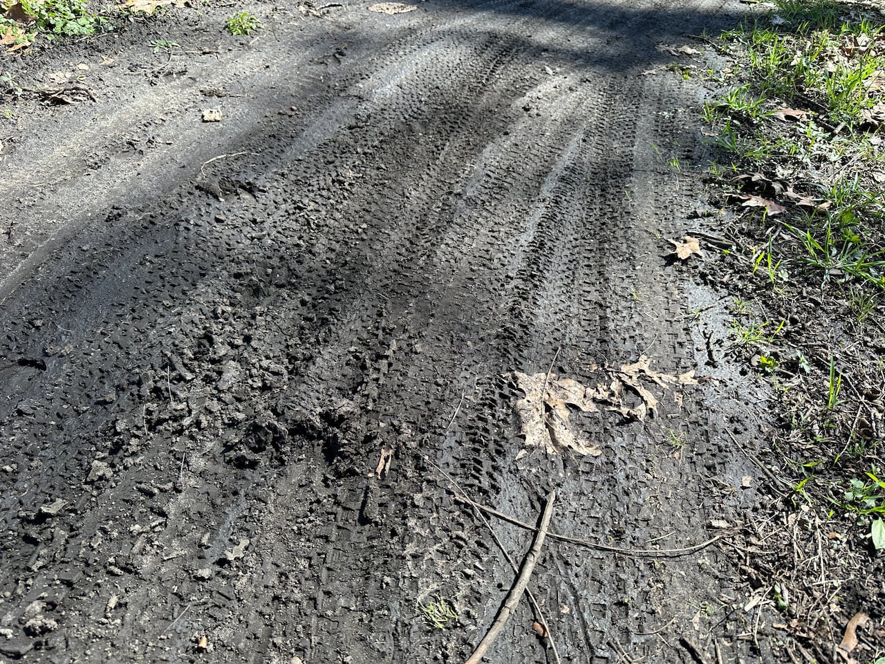 Bicycle tire trails in the mud in a wooded park.