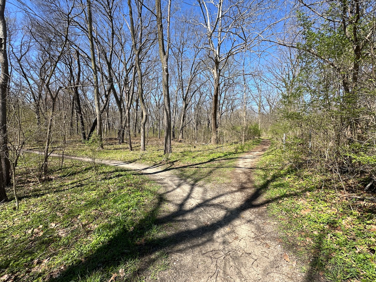 Trails in a wooded area.