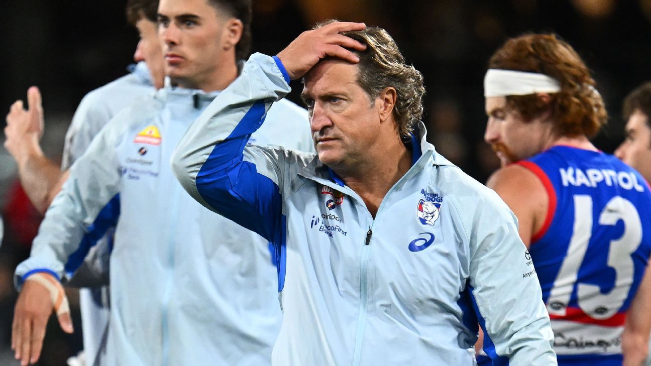 'That was then, this is now': Bulldogs' famous flag won't impact fresh tilt