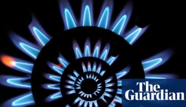Britain should look to biomethane to expand gas supply | Gas