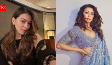 Hansika Motwani: From earning Rs 6,000 to working with Shah Rukh Khan, Allu Arjun, and her take on finding love again amid divorce: Hansika Motwani gets candid