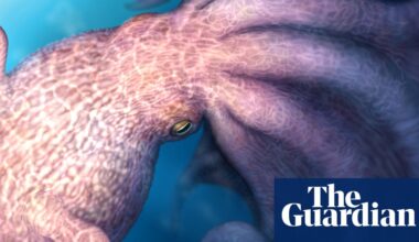 ‘Kraken-like’ giant octopuses 100m years ago crunched bones of prey | Palaeontology
