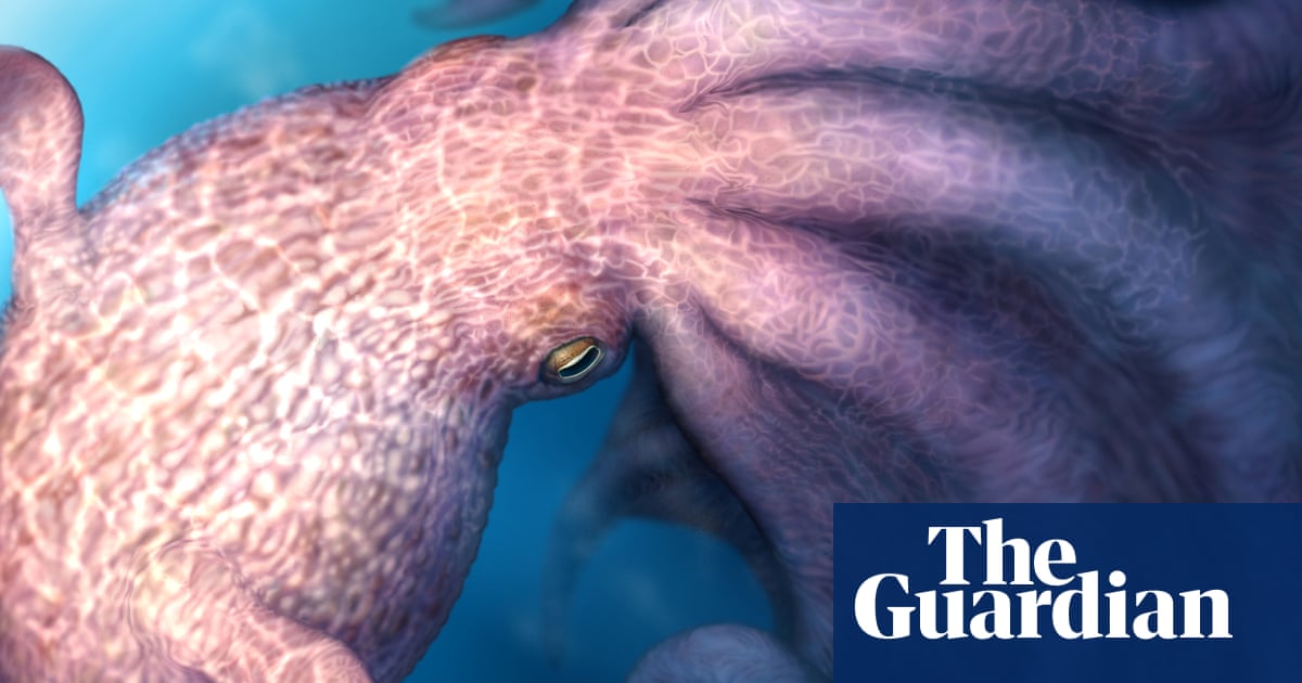 ‘Kraken-like’ giant octopuses 100m years ago crunched bones of prey | Palaeontology