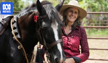 Horse trainer wants Australia to remember light horsemen, their 'amazing' companions this Anzac Day