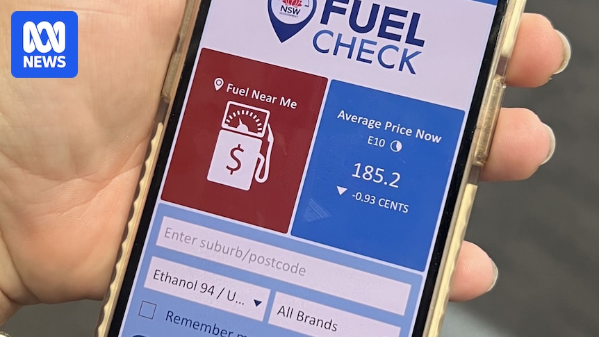 NSW Fair Trading issues hundreds of fines to petrol stations in breach of pricing rules