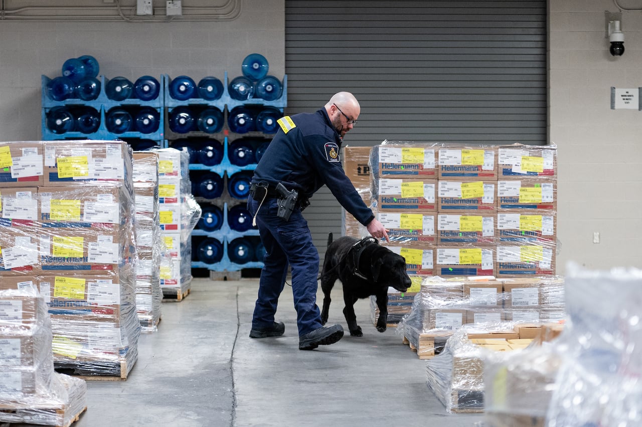 A Canada Border Services Agency officer and narcotics detection dog Denver take part in a narcotics detection demonstration at the CBSA Lansdowne port of entry in Lansdowne, Ont., on Wednesday, Feb. 12, 2025.