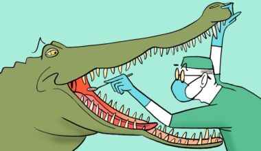What to do when a croc attacks