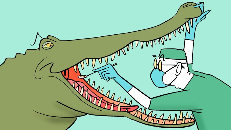 What to do when a croc attacks