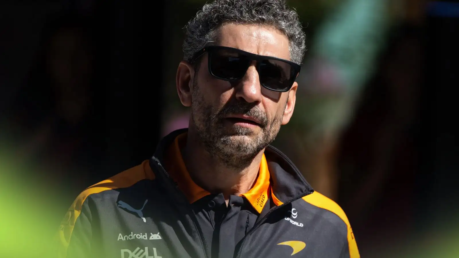 Andrea Stella Ferrari rumours ‘total nonsense’