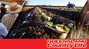 Daily Headlines Newsletter