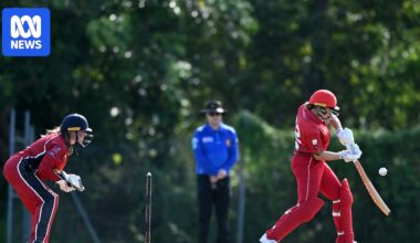 AI decision review system being trialled in Darwin women's division one cricket competition
