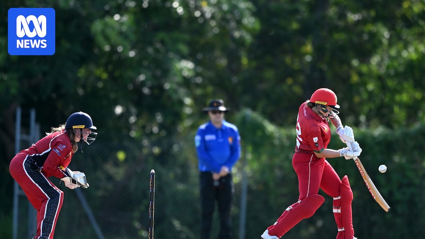 AI decision review system being trialled in Darwin women's division one cricket competition
