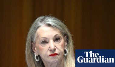 Labor senator deletes Anzac Day Instagram post after mistakenly including raunchy rap song | Labor party