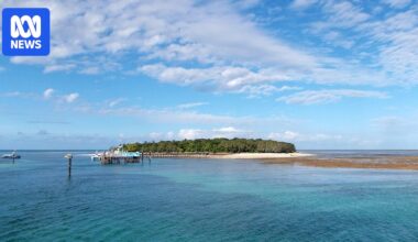 Soaring petrol prices force tourism operators to introduce surcharges