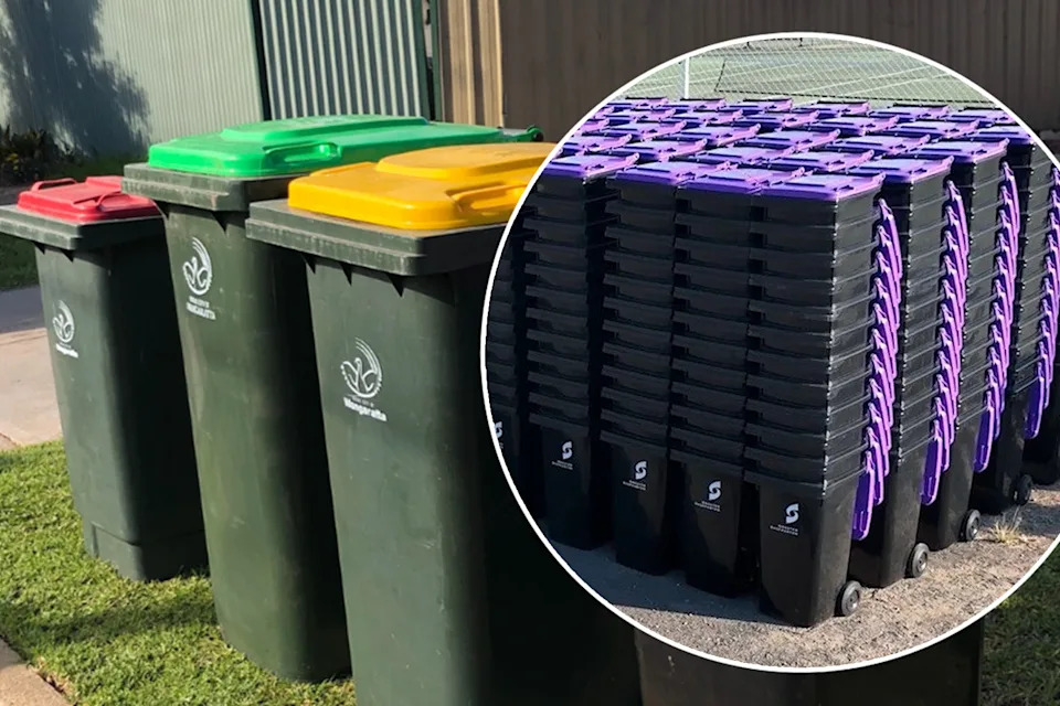 Main: Bins on the kerb ready for collection. Inset: Purple-lidded bins.