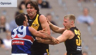 Wayne Campbell on why inconsistency is unavoidable at the tribunal and in umpiring