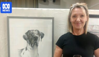 Sydney Royal Easter Show helps emerging artists build their careers