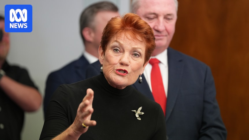 Pauline Hanson billed taxpayers for flights to fundraisers and travel to catch Rinehart jet to Florida