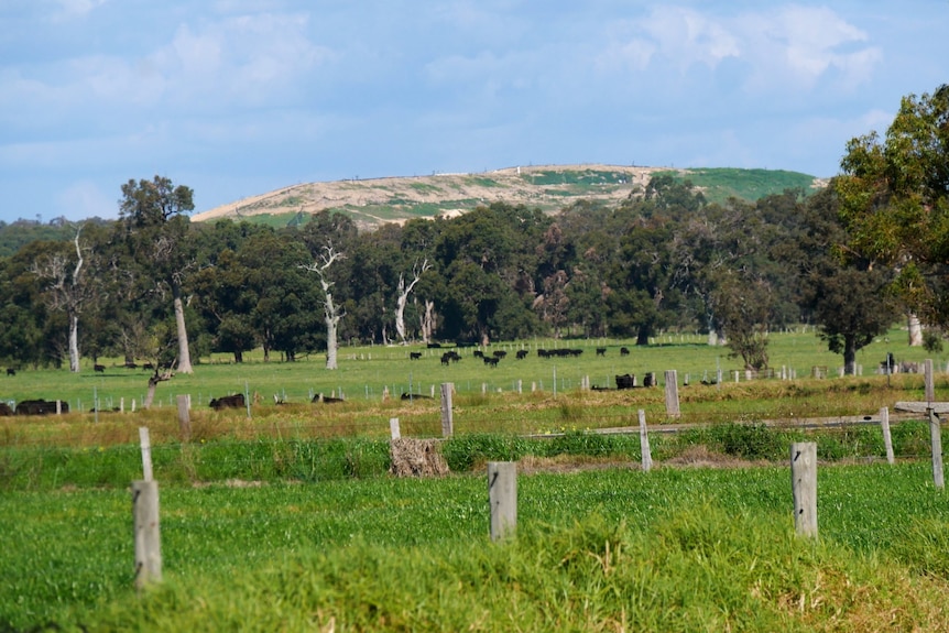 The Dardanup tip overlooking the town