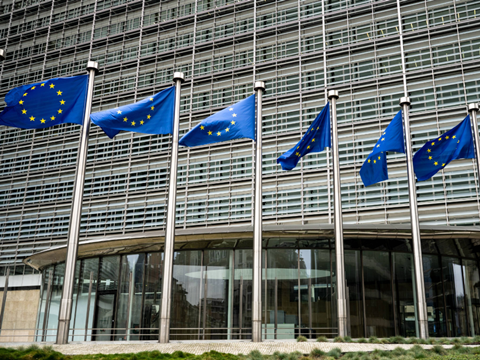 PE_EU_Flags (15)