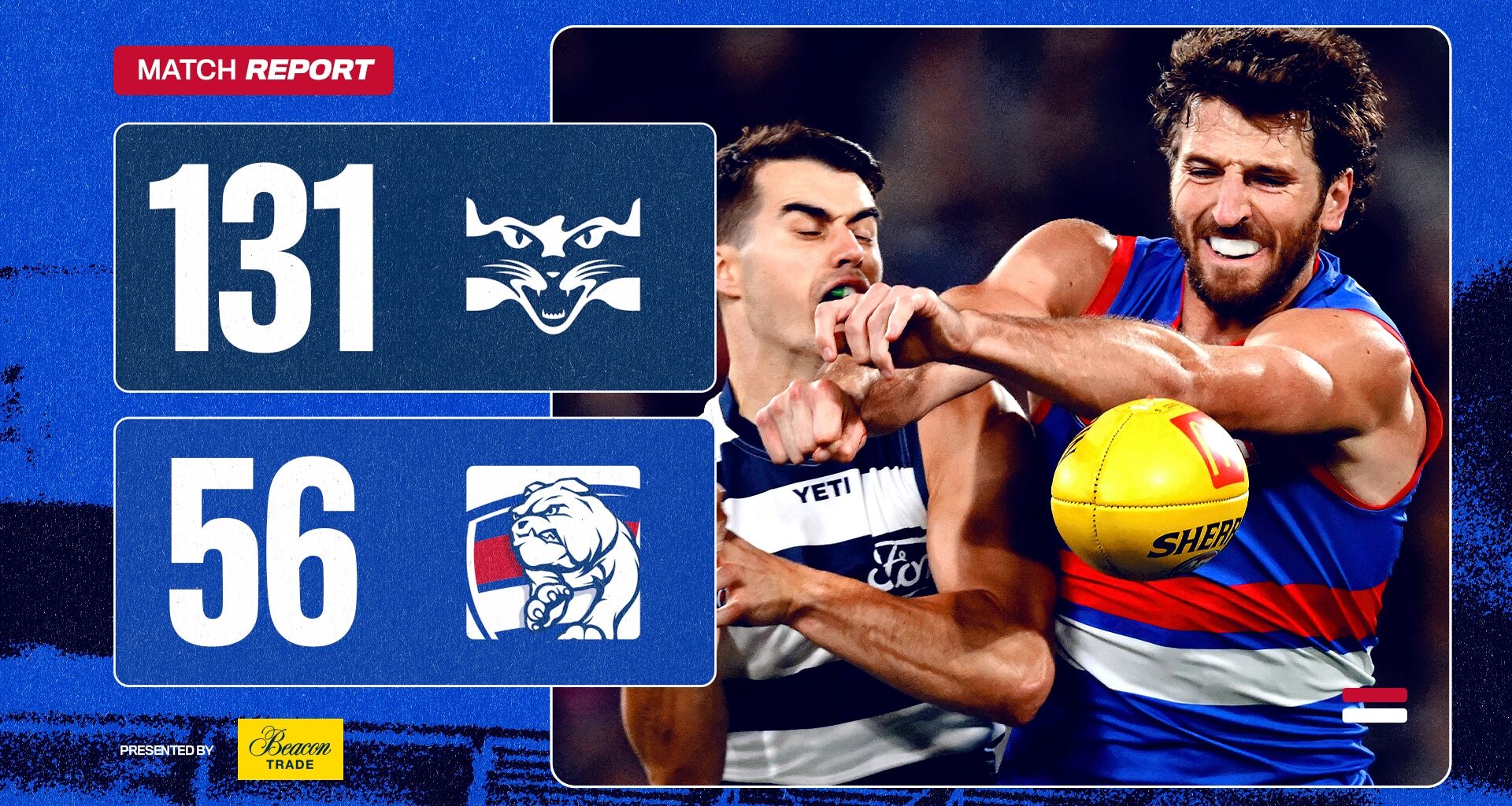Cats hand Dogs heavy defeat