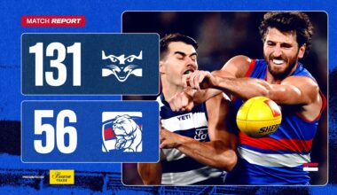 Cats hand Dogs heavy defeat
