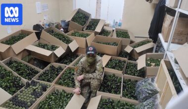 Inside Ukraine’s secret network of 3D printing farms building bombs 