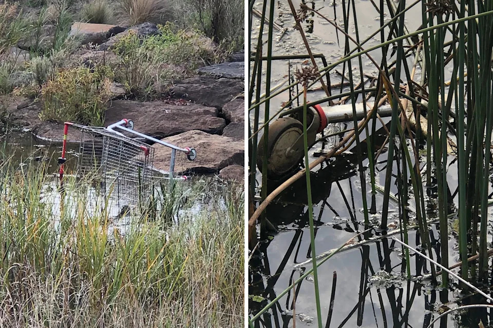 Two pictures of Coles trolleys dumped in the Werribee River at Tarneit.