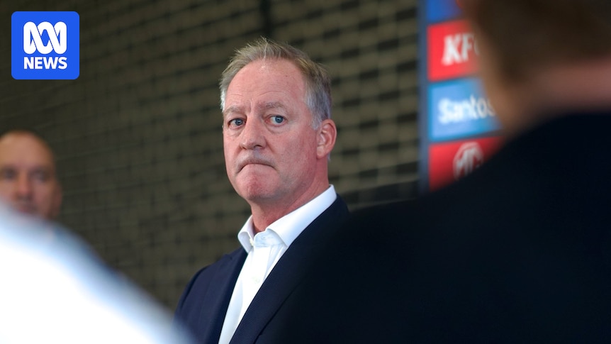 AFL Tribunal process 'too adversarial', Port Adelaide chief executive says
