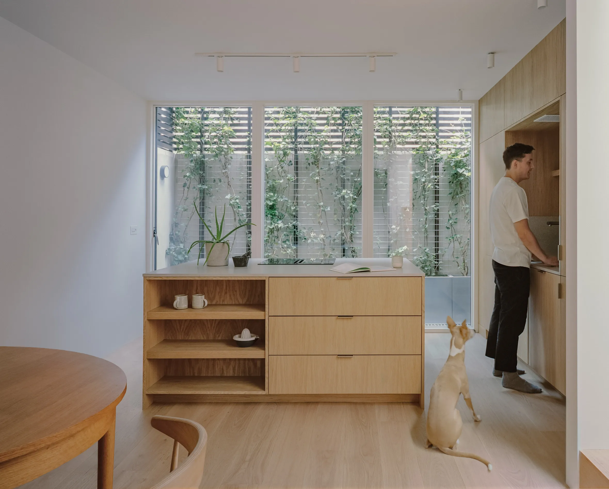 Man in a modern kitchen with wooden cabinets and island, a dog sits nearby.
