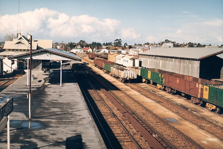 Freight trains on lines, next to a platform and train station