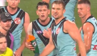 AFL umpire abuse scandal takes audio twist after Port Adelaide Zak Butters incident
