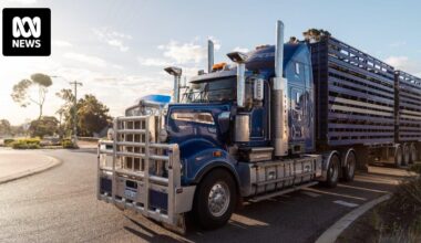 Trucking body calls for immediate action from federal government to stem business closures