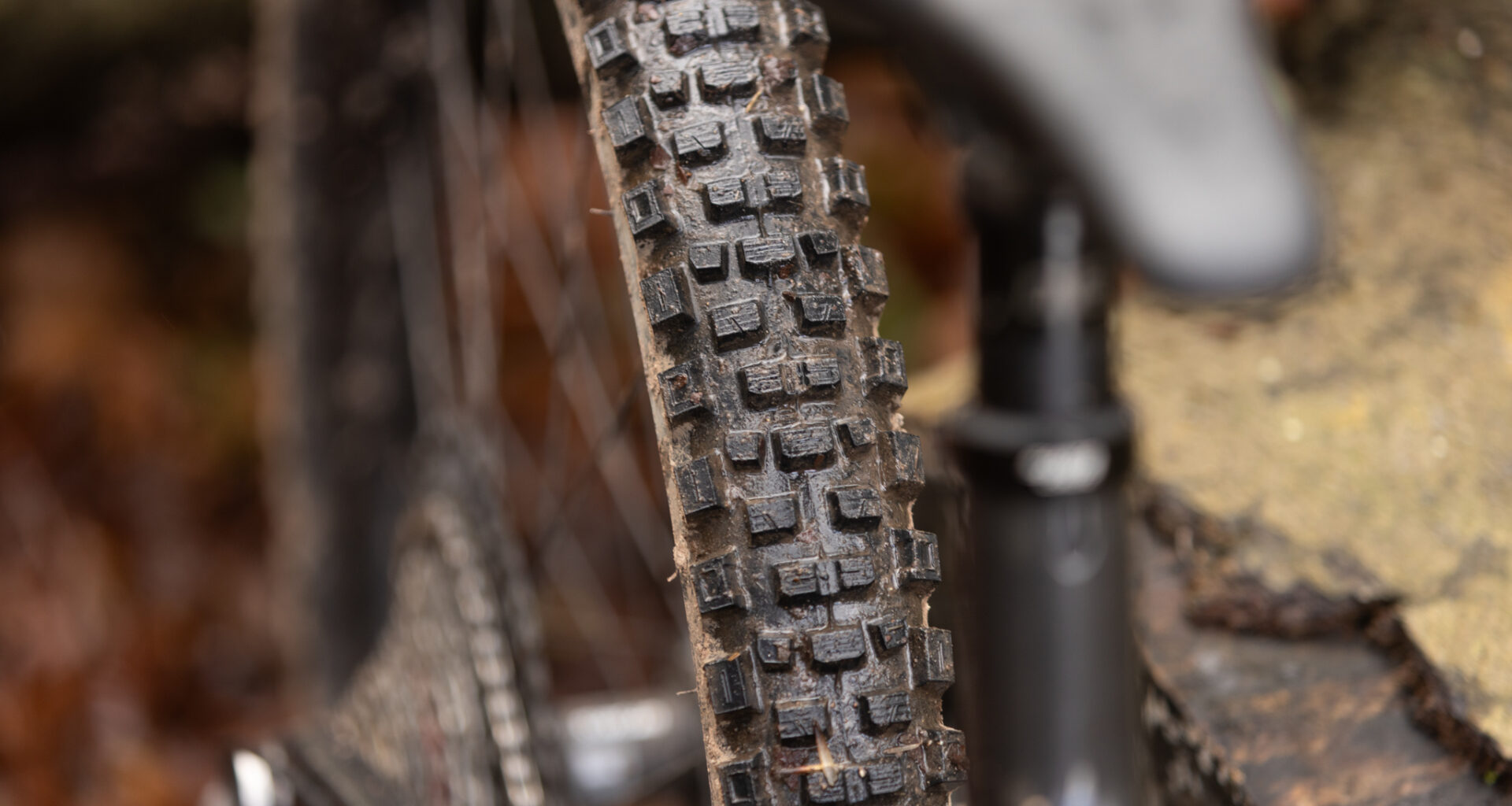 Cast Antagonist DualWall tyre - Cycling News