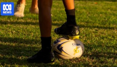 Junior clubs and neuroscientists welcome new NRL guidelines to limit head knocks but say it's not enough