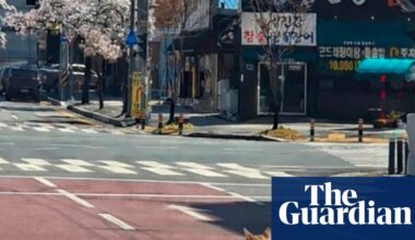 Hundreds search for wolf that escaped from zoo in South Korea | South Korea