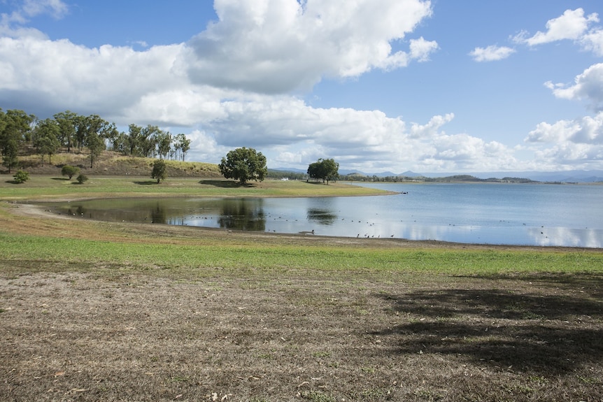 A dam and trees on a slight rise