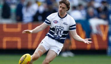 Gryan Miers suspected ACL injury, Geelong Cats half forward, club investigating partial or full tear, Chris Scott, latest news